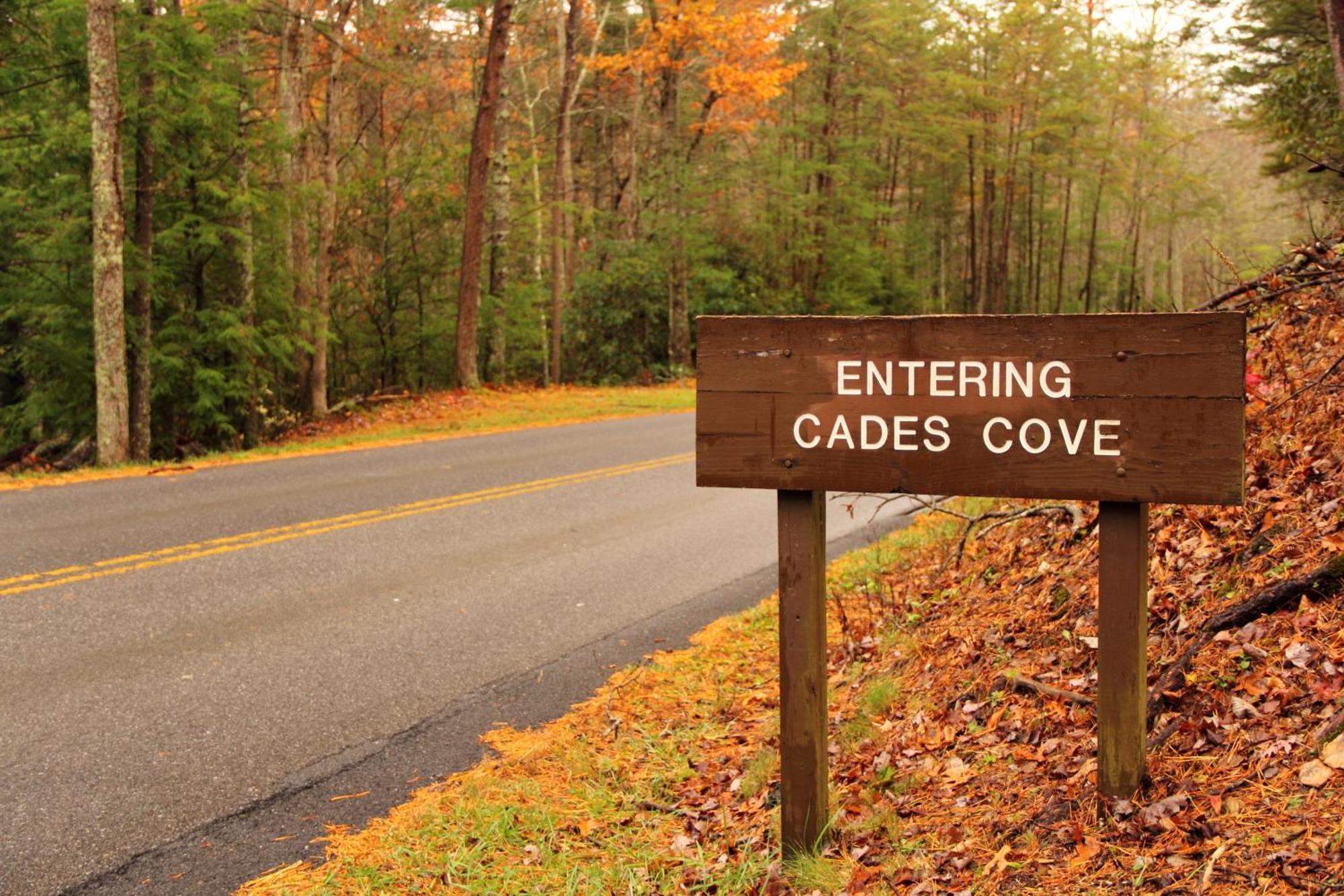 Bridgewood Cabin, Hot Tub, 1089 Of Free Attraction Tickets For Each Paid Day, Dollywood And More! Pigeon Forge Exterior foto